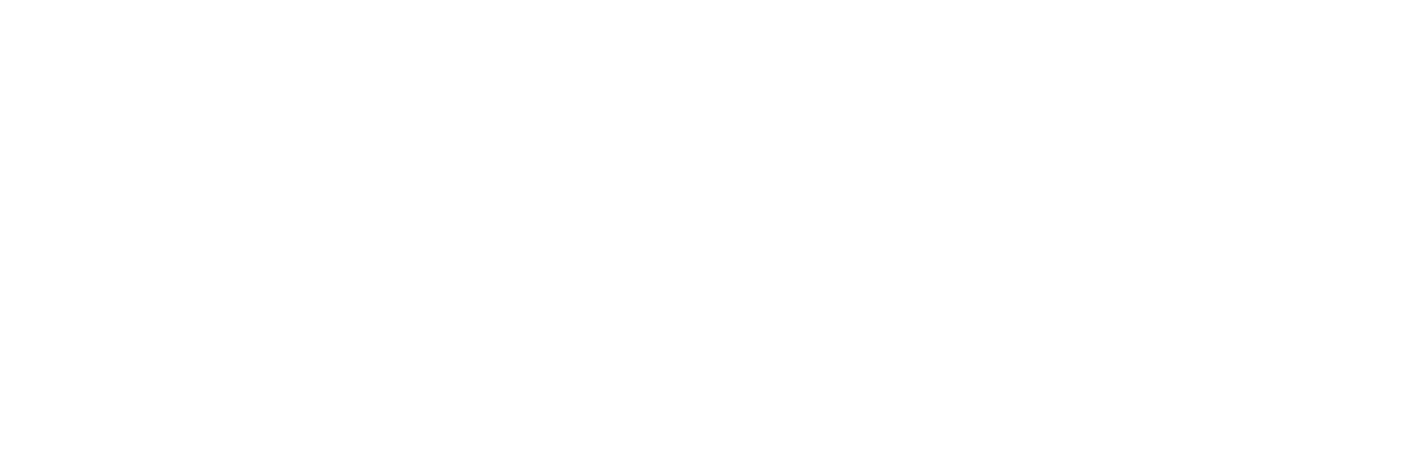 GODWANA EXPERIENCE logo